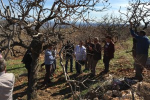 Antepfıstığında Entegre Mücadelesi Eğitimi Verildi