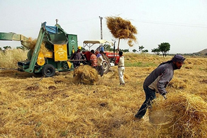 Hükümetten Üretim İçin Yeni Yol Haritası