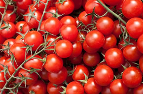 Domates Krizi Turunçgilde Sorunların Habercisi