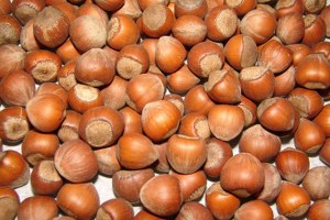 Fındık Fiyatı Yükselişe Geçti