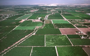 Arazi Toplulaştırması Yapılacak