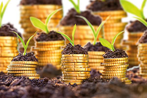 Dünya Bankası na göre Türkiye de Tarım Verileri