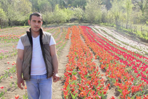 Bartın da Lale Devri