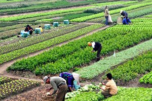 Gıda Tarım ve Hayvancılık Müdürlüğünden Çks ve Destekleme Başvuru Uyarısı