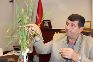 Buğday Üreticisi Zor Durumda