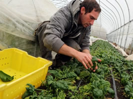 Genç Çiftçiler Projesi ne Başvurular Başladı