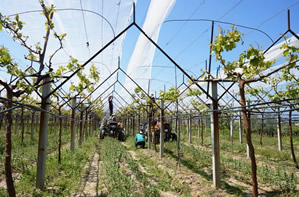 Dolu Savar Sistemi Gelişiyor