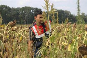 Sakarya da Tarım ve Asayiş Masaya Yatırıldı