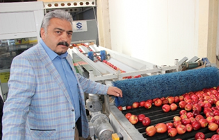 50 Bin Ton Elma Depoda Kaldı