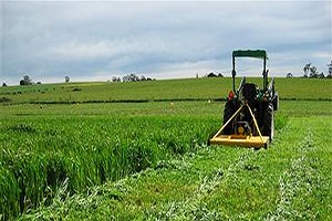 Muğla da Tarla Günü Etkinliği Düzenlendi