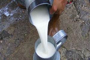 Sokak Sütünde Büyük Oyun Organik Gibi Gösteriyorlar