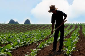 Genç Çiftçilere İkinci Müjde