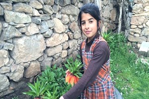 Hüzün Çiçekleri Ters Laleler Açmaya Başladı