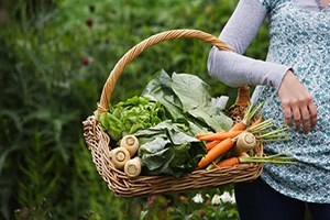 Muğla da Organik Tarım Alanları Genişletilecek