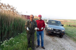 Tilkilere Yönelik Aşı Tablet Uygulaması