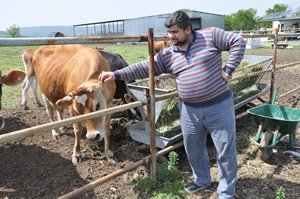 Sütün Matematiğini Hesapladı