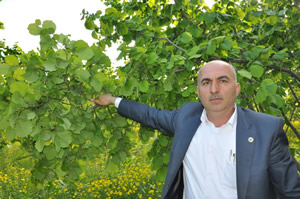 Emanete Verilen Fındıklar Geri İstenmeli