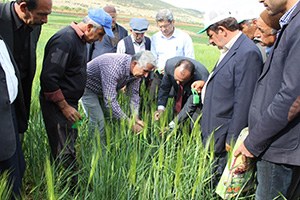 Adıyaman da Süne İle Mücadele Başladı