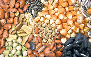 Malazgirt te Sertifikalı Tohum Satışları Başladı