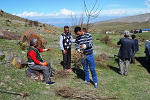 Iğdır da Yaban Hayata Meyve Fidanı Dikildi