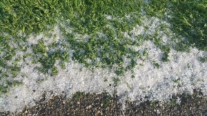 Kurtalan da Dolu Yağışı Etkili Oldu