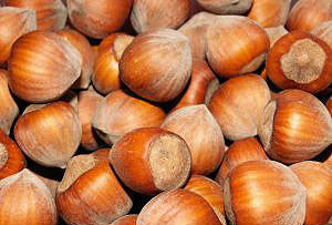 Fındık Haftaya Artışla Başladı