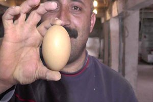 4 Sarılı Yumurtalar Şaşırtıyor