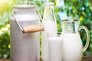 Desteklemeler Üreticiyi Memnun Ediyor