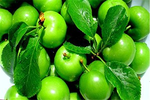 Erkenci Erik Yüz Güldürdü