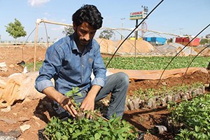 Bir Çok Aile Geçimini Fidecilikle Sağlıyor