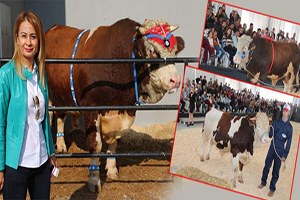 Tarım Ve Hayvancılığın Kalbi Burdur da Atacak