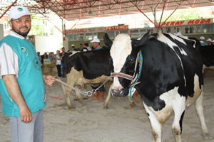 Miss Damızlık 28 Nisan da