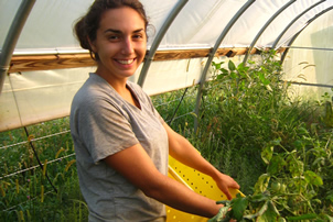 Genç Çiftçilere Bir Müjde Daha Geldi