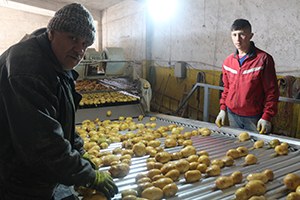 Patates Tüccarları Hükümetin Teşviğinden Menun