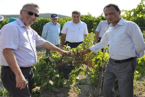 Valilikten Kuru Üzümde Kalıntı Madde Açıklaması