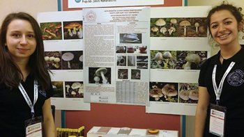 Mantar Ölümlerini Bitirecek Buluş