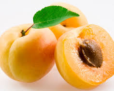 Kayısı Üreticilerine Önemli Uyarı