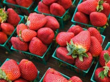 Rusya yı Bahane Ettiler Üretici Zora Düştü