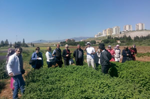 Burhaniyeli Çiftçiler Aromatik Bitki Ekecek