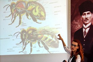 Çankaya da Arıcılık Eğitimleri Başladı