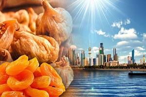 Kuru İncir Ve Kayısımıza Kuveyt ten Talep Var