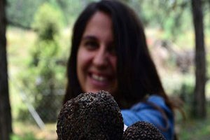 Trüf Mantarı Ormanı