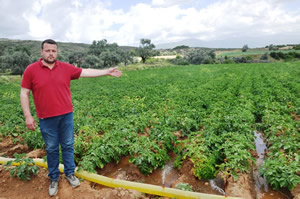 Üreticiler Süte Yapılan Müdahaleyi Patatese De İstiyor