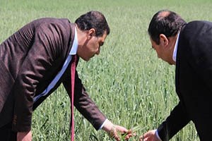 Devletin 30 Bin Hibe 100 Bin TL Kredisi Dolandırıcıları Harekete Geçti