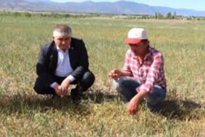 Burdur da Sulama Yaptırılmayınca Arpa ve Buğday Tarlalarının Yarısı Kurudu