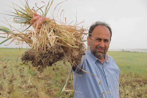 Güneydoğunun Tahıl Ambarını Kuraklık Vurdu