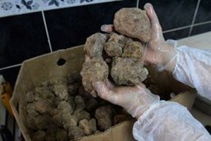 Meraklılarının 11 Aydır Beklediği Keme Çıktı Fiyatı Etin İki Katı