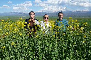 Yemlik Kolza da Olumlu Sonuç Alındı