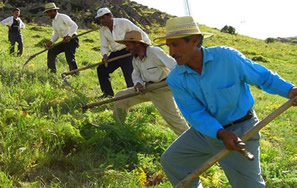 Çiftçi, Fiyat Farkı Desteğinde Erken Ödeme Bekliyor