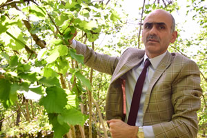 Alan Bazlı Gelir Desteği Haziran da Ödenmeye Başlanacak